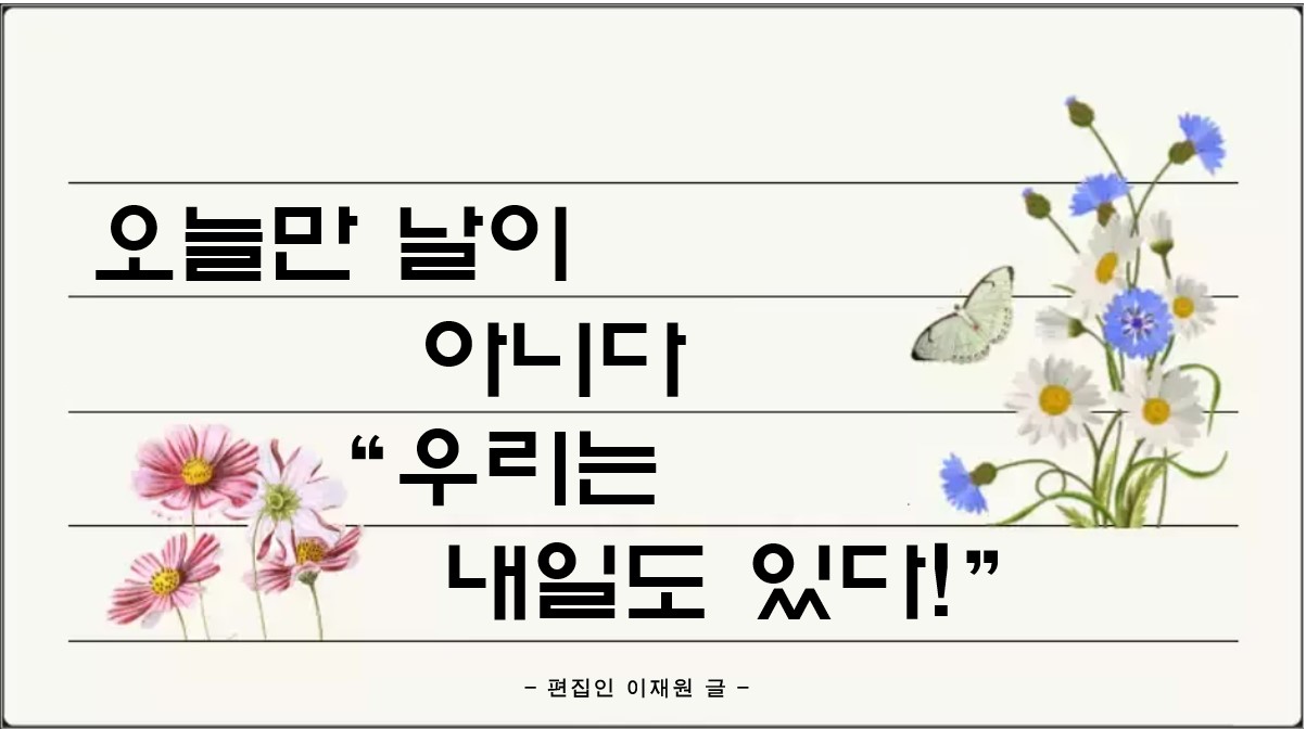 배너