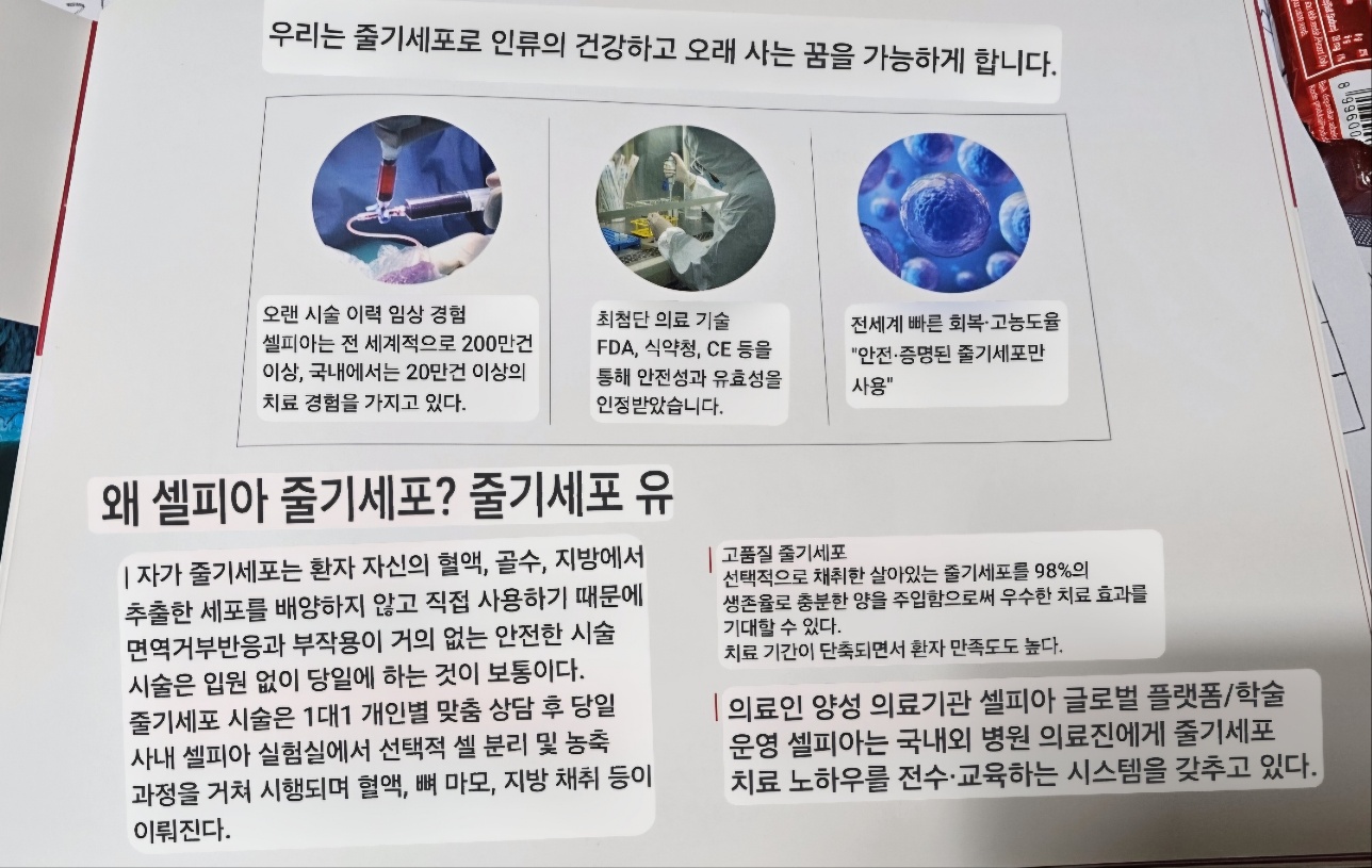 배너
