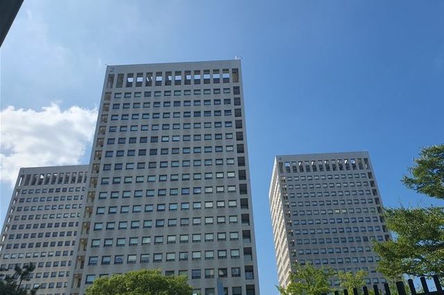 산림청, 대구 대형산불 피해지에 '긴급진단팀' 파견… 2차 피해 예방 총력