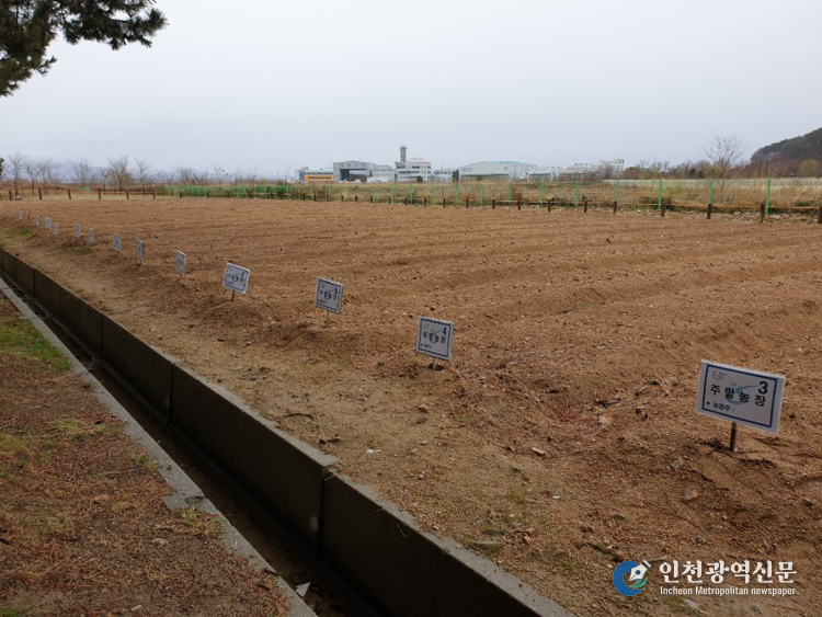 2. 참가자들이 주말농장을 운영하고 있다.