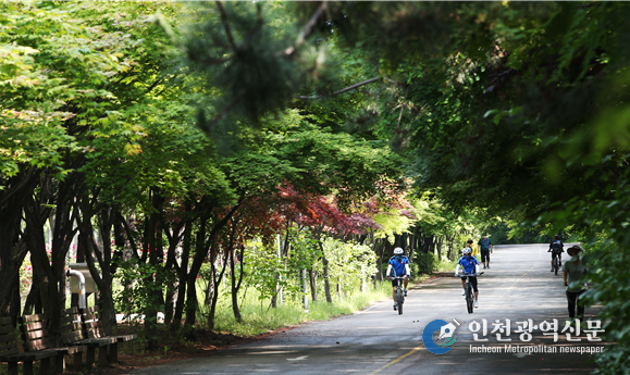 2022년 특색 가로수길 최우수 사례: 남동구 소래로
