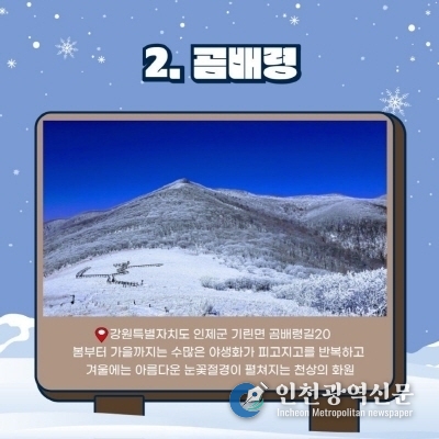 사진출처 : 네이버 배라맘 카페
