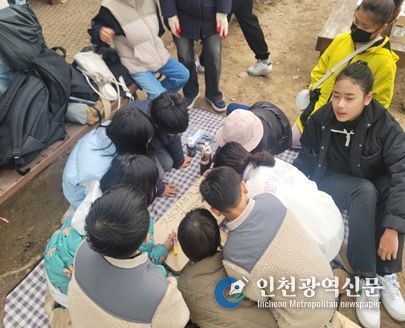 저어새 둥지정비 웹자보 및 관련 사진