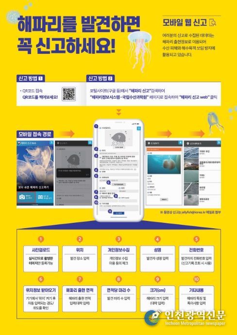 해파리 신고 방법 안내문