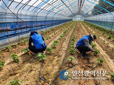고온 환경 하우스·노지 농작업장 14농가에 시범사업