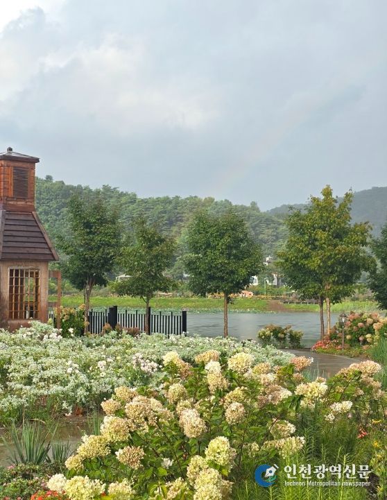 연당원 수국축제 성료
