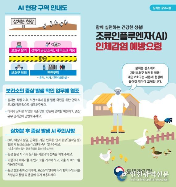 조류인플루엔자 예방수칙 홍보 리플릿
