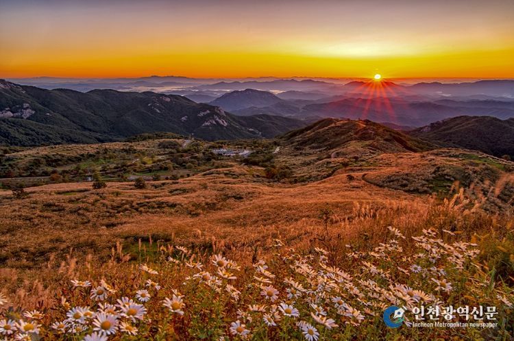 붉은 노을 억새풍경