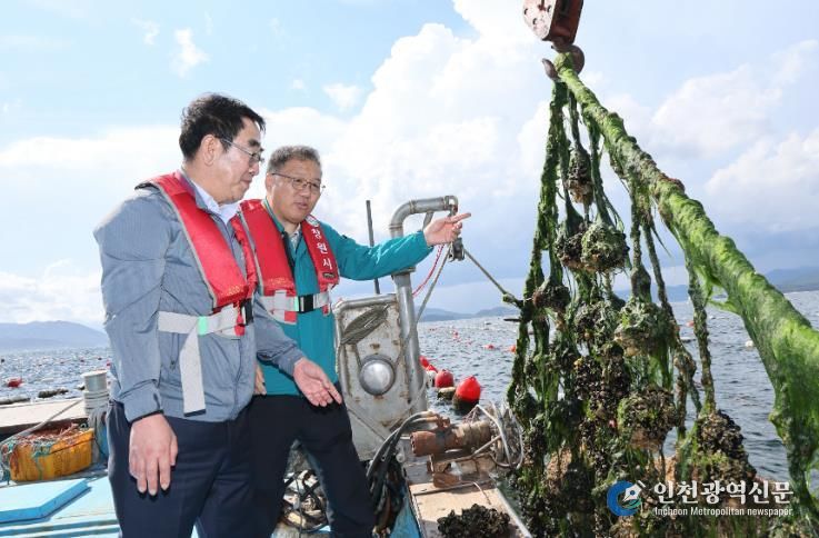 장금용 창원특례시장 권한대행, 구산면 홍합 양식장 방문