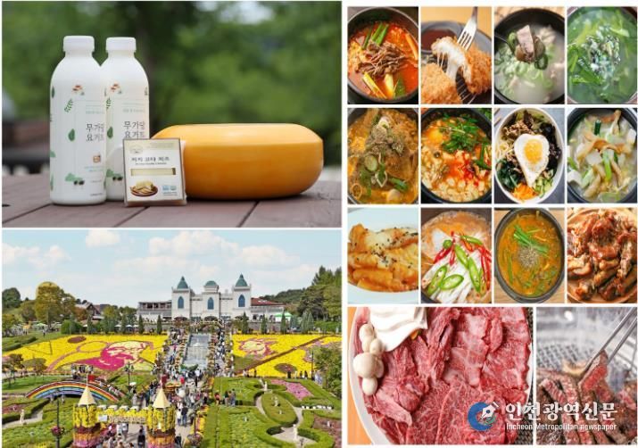 임실N치즈축제의 특별한 맛…저지종 숙성치즈‘천하일미’