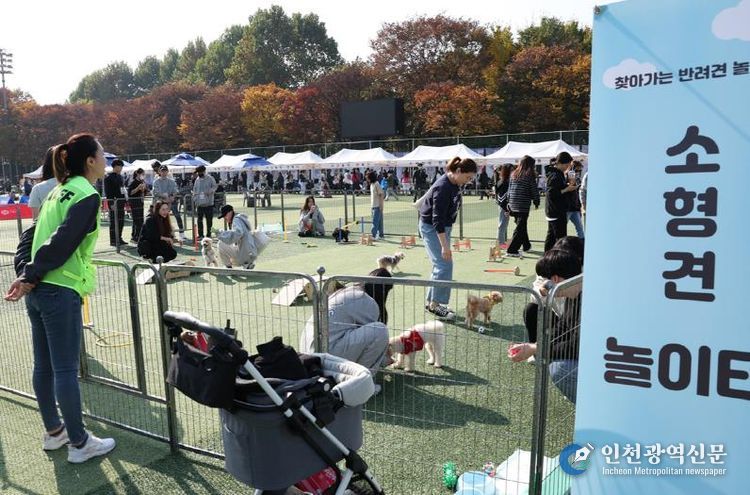 2024 반려동물 축제 노원반함_반려견놀이터 운영 모습