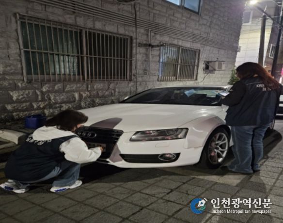 과태료 체납 차량 번호판 야간 영치 단속