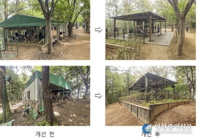지양산 내 불법시설물 개선 전·후