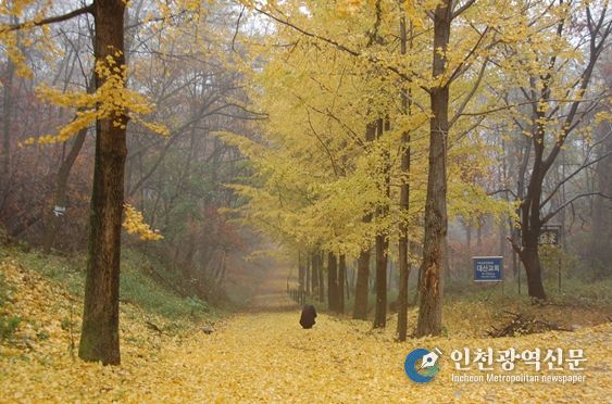 강화성 북문의 가을