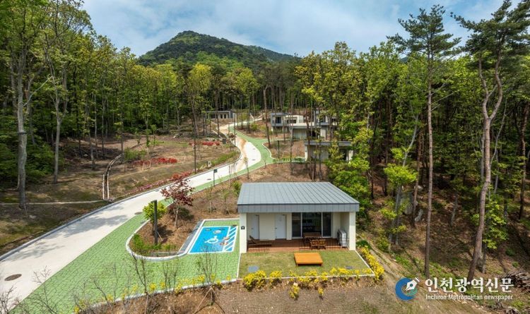 덕적도 자연휴양림, 개장 7개월 만에 1만 3천 명 방문