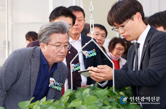 지난 28일 진행된 ‘유성구 스마트팜’ 개장식에서 정용래 유성구청장이 스마트팜 기술 시연을 확인하고 있다