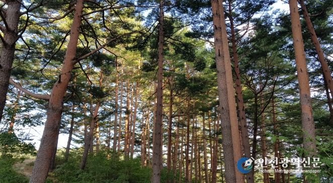 울진금강송 산지농업, FAO 세계중요농업유산 인증서 수여