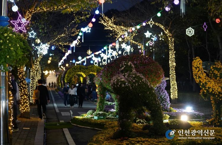 해남미남축제 즐길거리 (국화향연)