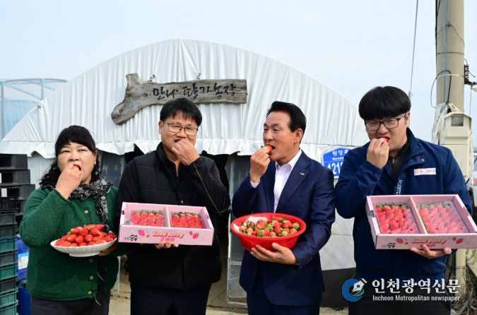 딸기 품종 혁신, ‘조이베리’로 문 열다