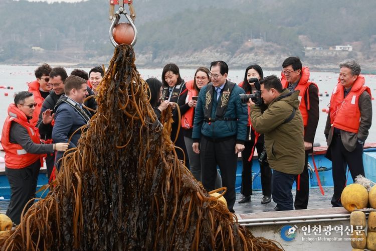 사진은 미 에너지부 산하기관 에너지 고등 계획원(ARPA-E) 관계자 완도군 해조류(미역) 양식장을 방문한 모습