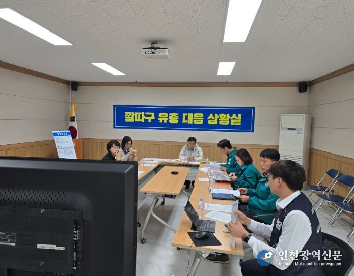 깔따구 유충 정밀역학조사반 회의