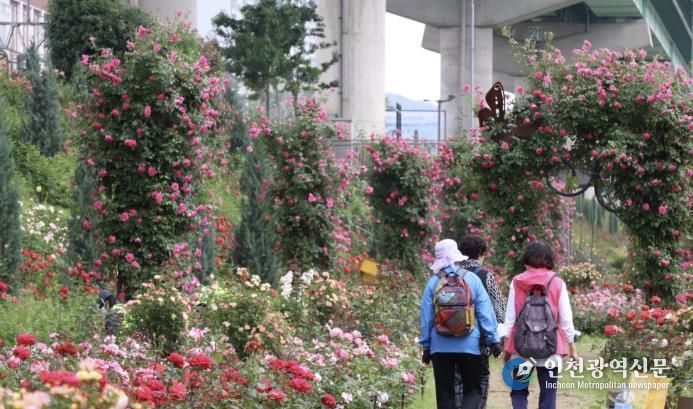 금천구 안양천 일대 전경