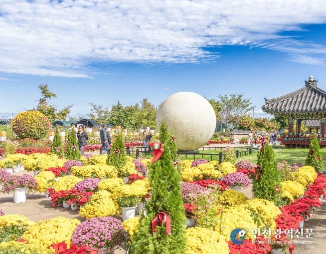 3천만 송이 가을꽃 물결 속 41만 명 발길