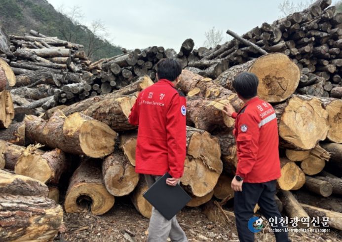 소나무류 이동 특별단속