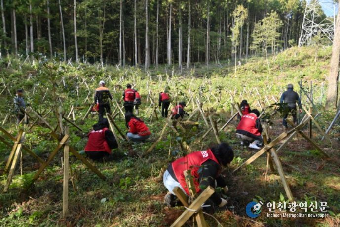 2025년 숲가꾸기 기간 체험 및 사랑의 땔감 나누기 행사