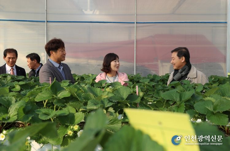 진안군, 부귀면 딸기・샤인머스캣 농가 방문으로 현장행정