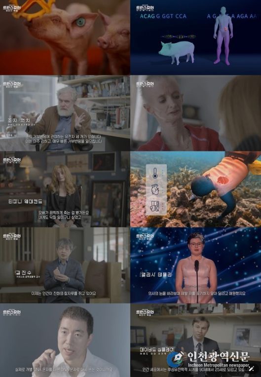 (사진 제공 = KBS 1TV ‘트랜스휴먼’)