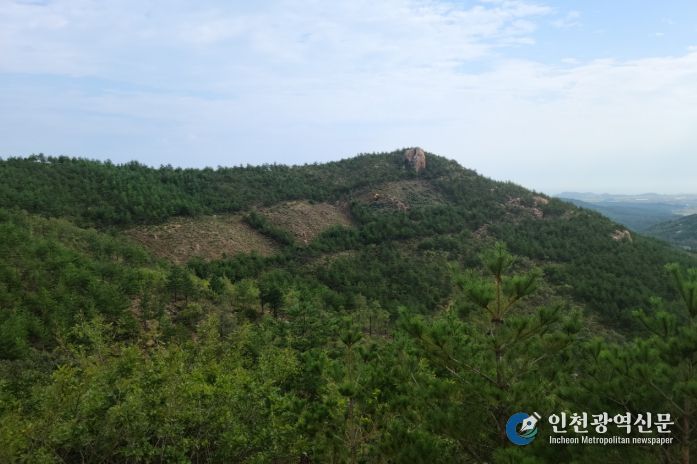 내화수림 조성 후