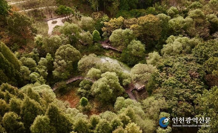 무장애 나눔길(물향기수목원)