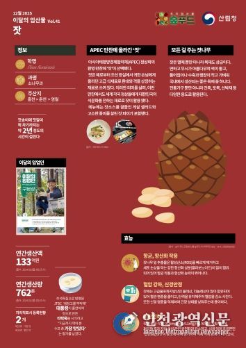 2025 이달의 임산물-12월 `잣`