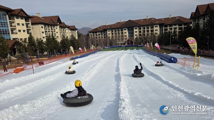 드림썰매단 출발! 하얀 설원 위, 추억 만들기