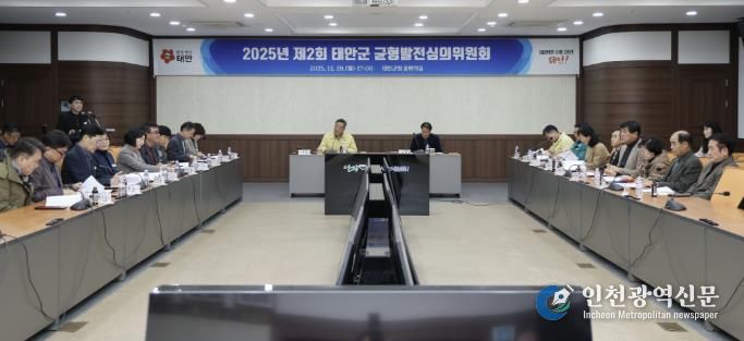 29일 군청 중회의실에서 개최된 균형발전심의위원회 회의 모습.