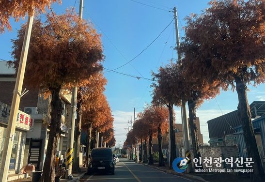 인동교차로~광양중학교 800m 구간, 생육·경관 고려한 맞춤형 전정