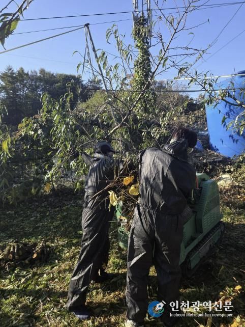 음성군, 영농부산물 안전처리 지원사업 사업자 모집