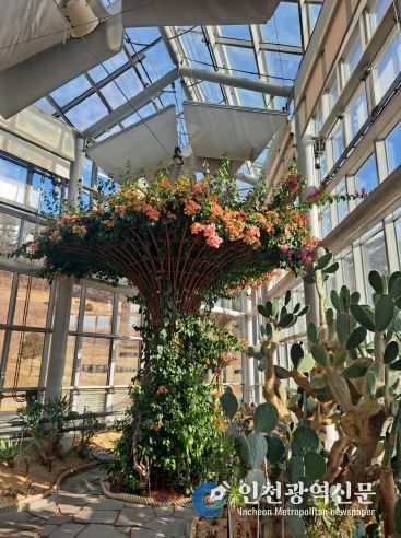 친환경생태공원, 형형색색 선인장 꽃 개화