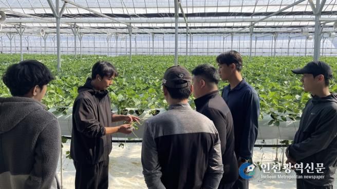 2026년 포천시 청년농부 학습동아리 교육생 모집