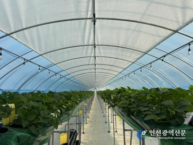 군산시, 2026년 스마트원예 분야 자체 사업 신청·접수