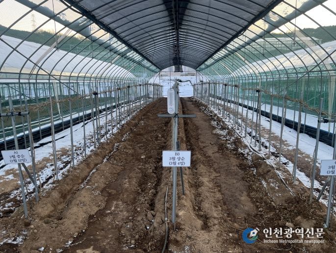 고품질 구기자 생산 ‘겨울철 시설관리 중요’