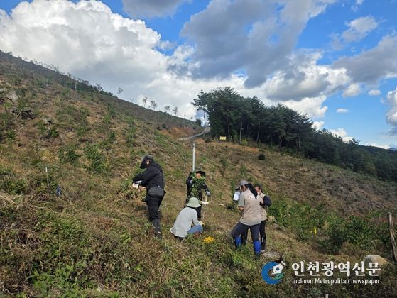 현장 중심 산림소득 수종 연구