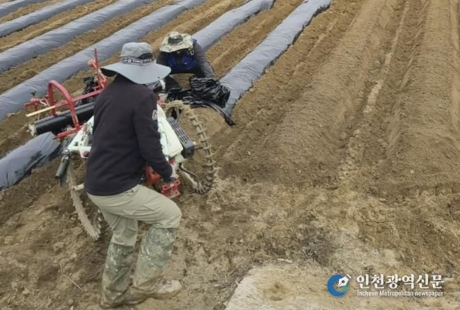 순창군, 농기계작업단 운영으로 영농 부담 완화