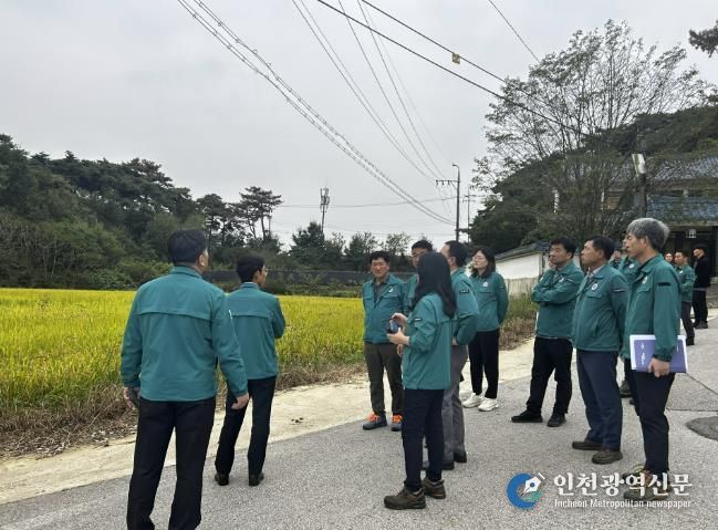 소나무재선충병 현장 확인