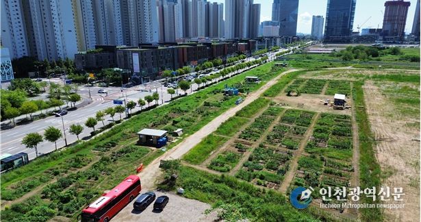이음텃밭 전경