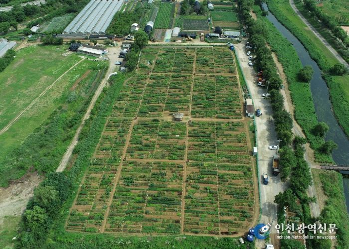 남동구, 2026년 공공 주말농장 텃밭 분양