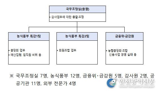 정부합동 특별감사반 구성 및 인원