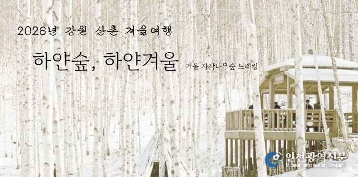 인제 자작나무숲에서 즐기는 겨울 힐링 여행