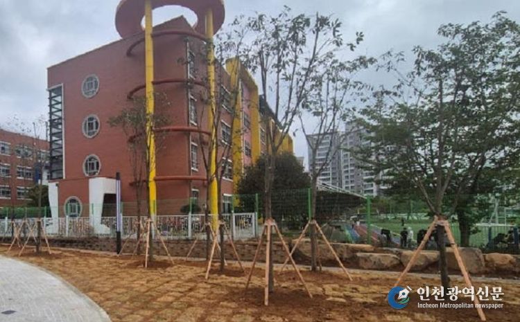 지난해 낙안 나무은행에서 관리하던 가시나무를 왕지어린이공원에 이식했다